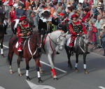 Pferde beim Umzug in Oldenburg
